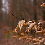 Lautertal Zinne Апартаменты *