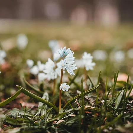 Lautertal Zinne 公寓 *