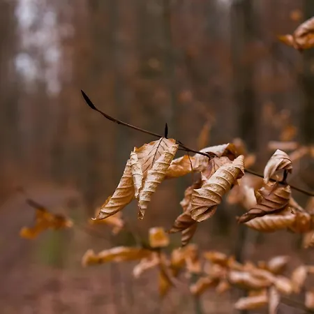 Lautertal Zinne Апартаменты *