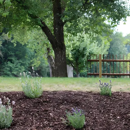 Lautertal Zinne Апартаменты *